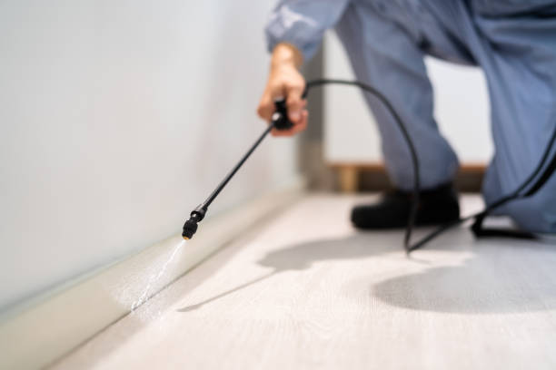 Licensed Termite Control service in César Chávez, TX - Nex Pest Control