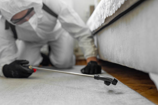 Professional Termite Control technician working in César Chávez, TX