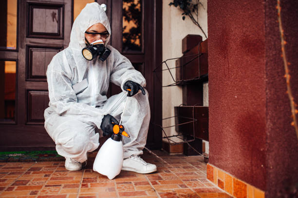 Reliable Termite Control contractor in César Chávez, TX by Nex Pest Control
