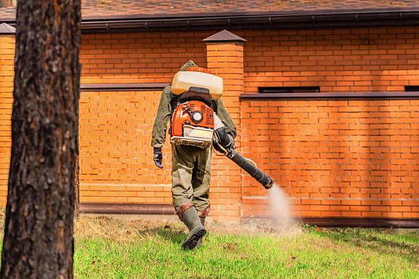 Top rated local Termite Control specialists in César Chávez, TX